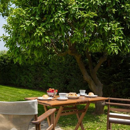 Fragos Garden Studios Kastro-Kyllini Phòng bức ảnh