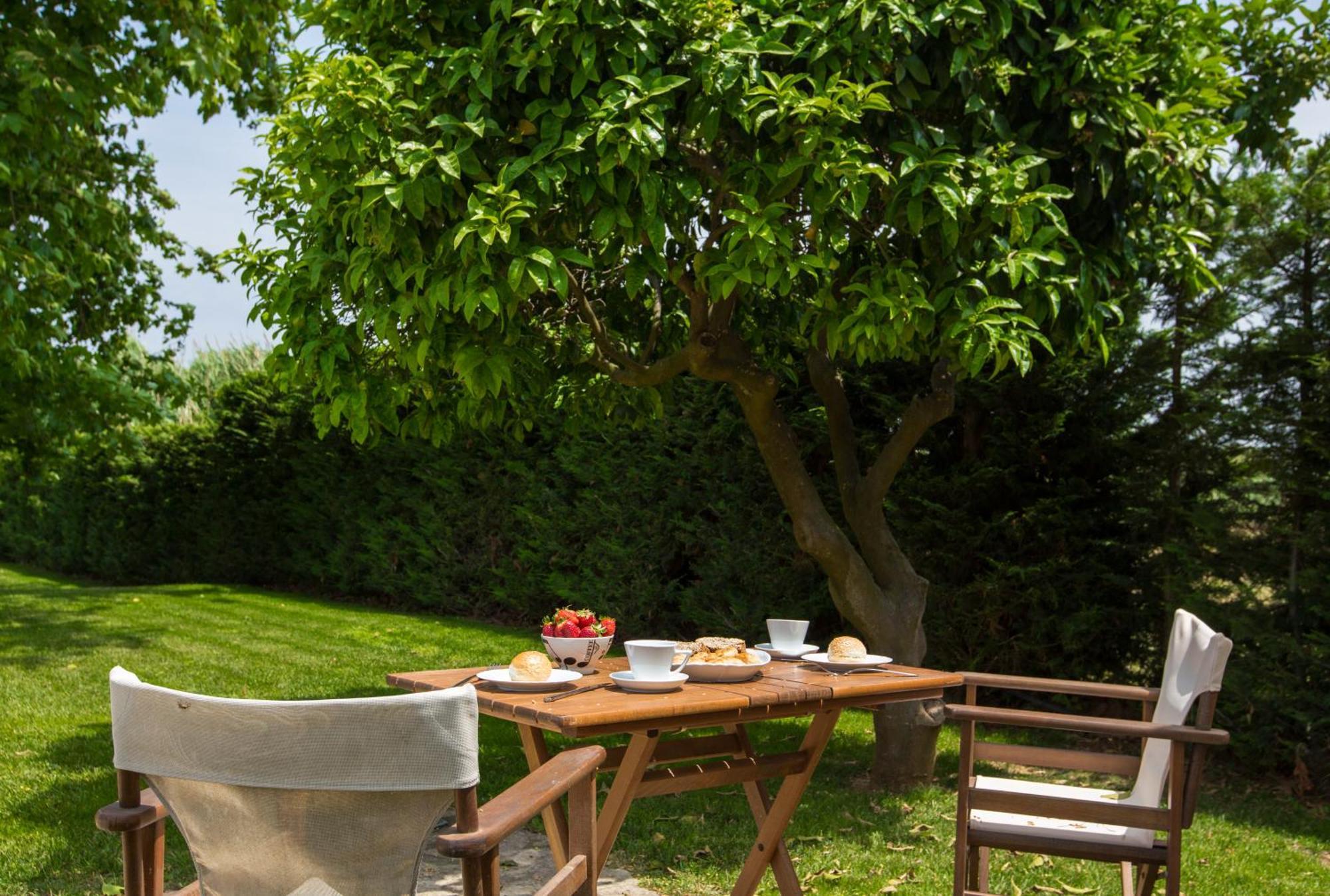 Fragos Garden Studios Kastro-Kyllini Phòng bức ảnh